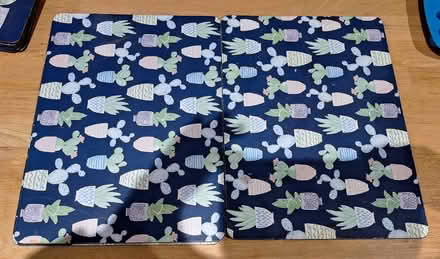 Photo of free 6 cactus placemats and coasters by Denby (Cann Hall E7) #3