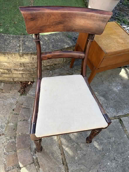 Photo of free Dining chair x 5 (Mottingham SE9) #2
