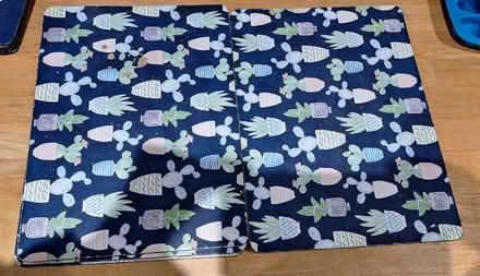 Photo of free 6 cactus placemats and coasters by Denby (Cann Hall E7) #2