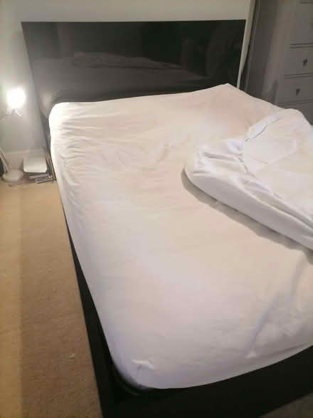 Photo of free Heal's King size bed and optional mattress (Montpelier Road area BN3) #2