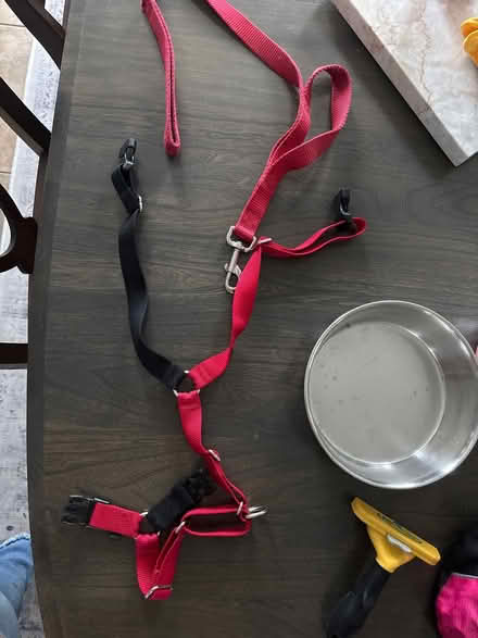 Photo of free Dog supplies (Leominster) #1
