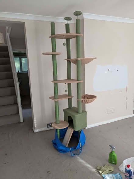 Photo of free Large used cat tree (Seven Dials BN1) #1