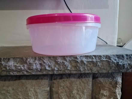 Photo of free Plastic cake tub (Warrington WA2) #3