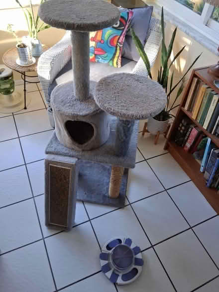 Photo of free Cat tree (Massachusetts and Rowan.) #1