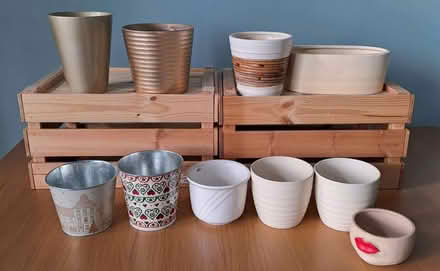 Photo of free Selection of plant pots (Teddington TW11) #1