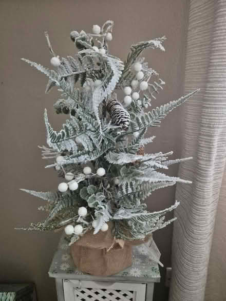 Photo of free Christmas tree (Drayton PO6) #1