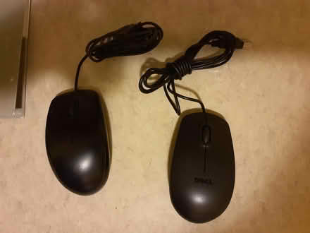 Photo of free Wired mice (Macomb Twp.) #1