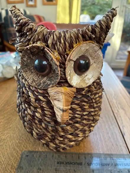 Photo of free Wicker owl plant pot, 10 to 12cm diameter (Great Boughton CH3) #1