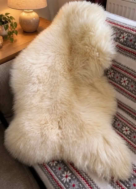 Photo of free White sheepskin rug (Whitehall) #1