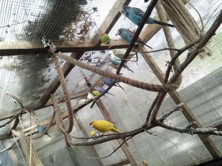 Photo of Branches (Heysham LA3) #1