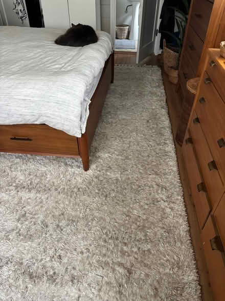 Photo of free Ivory rug (Upper Dimond) #2