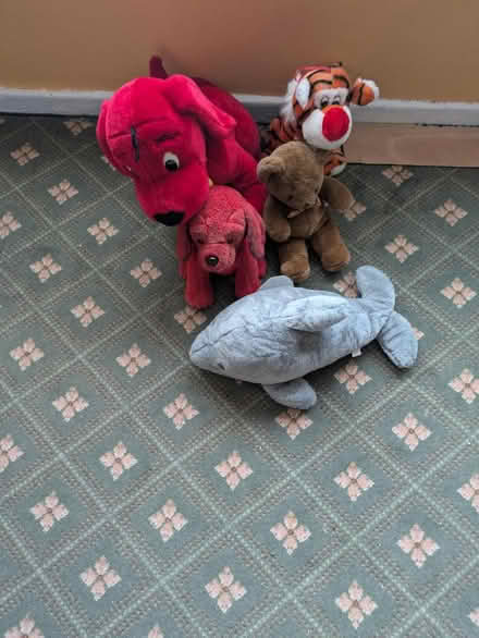 Photo of free Teddies (Kingshurst B37) #1