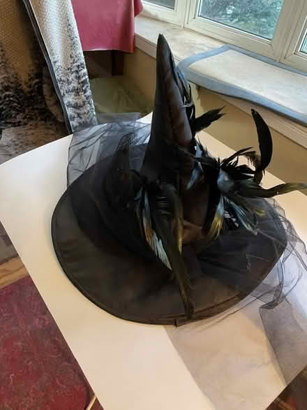 Photo of free Attention all witches (Bronte and Third Line area) #1
