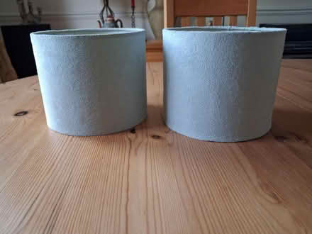 Photo of free Small lamp shades (Didcot OX11) #1