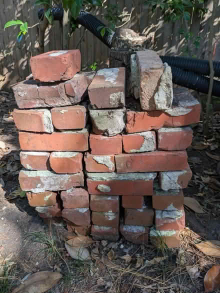 Photo of free Red bricks (near ODU) #1