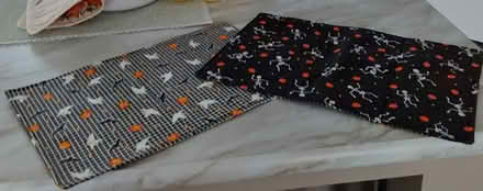 Photo of free 4 Halloween placemats (I94/Rawsonville Rd, Willis) #1