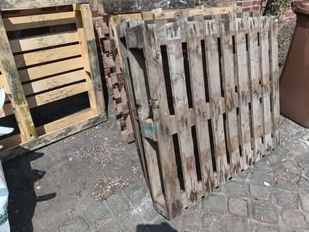 Photo of free Pallets (Ticknall DE73) #1