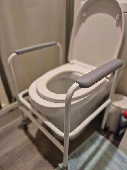 Photo of free Toilet help rails (Northchurch HP4) #1
