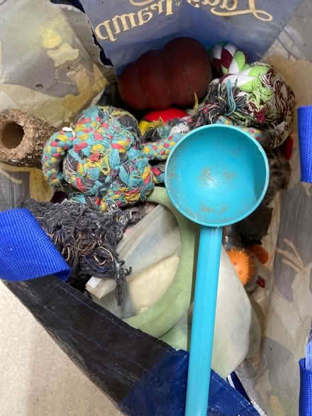 Photo of free Bag load of dog toys (St Albans AL3) #1