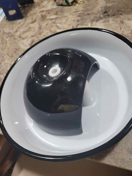 Photo of free Ceramic Petco Pet Water Fountain (Sunrise) #4
