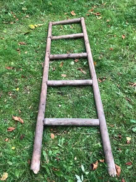 Photo of free Wooden trellis (Harrogate HG2) #1