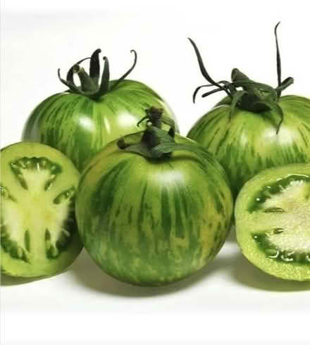 Photo of green tomatoes (Toberdowney BT39) #1