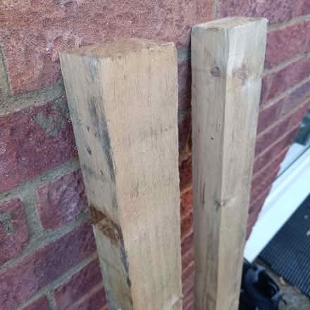 Photo of free Timber (Haldens AL7) #3