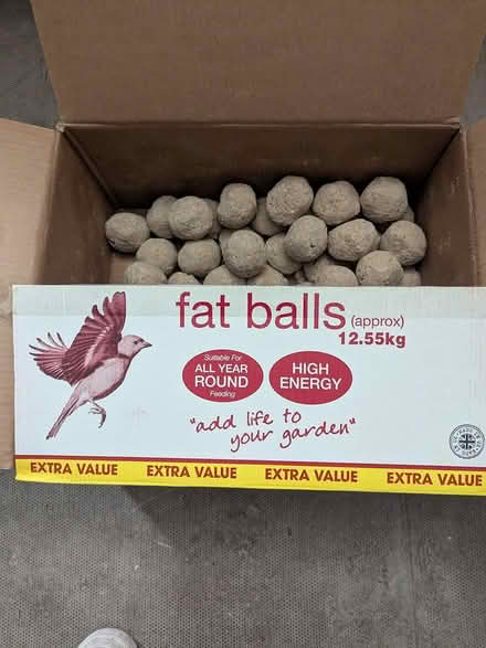 Photo of free Bird feed fat balls (Spitalfields E1) #1