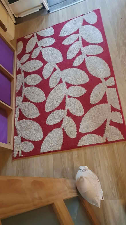 Photo of free Red and white rug (Galmington TA1) #1
