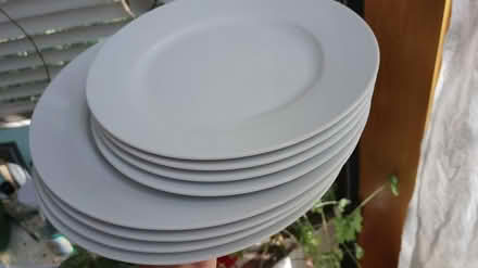 Photo of free Plain plates (Trinity Bellwoods) #1