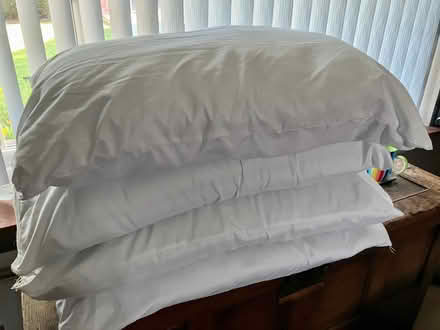 Photo of free 4 pillows (Cookley DY10) #1