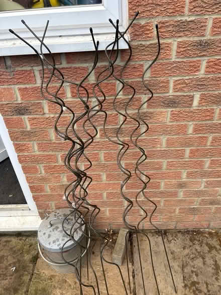 Photo of free Spiral plant stakes (Northcourt OX14) #1