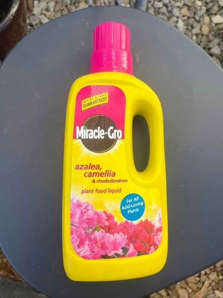 Photo of free Azalea & Camellia plant food liquid (Vale of White Horse SN7) #1