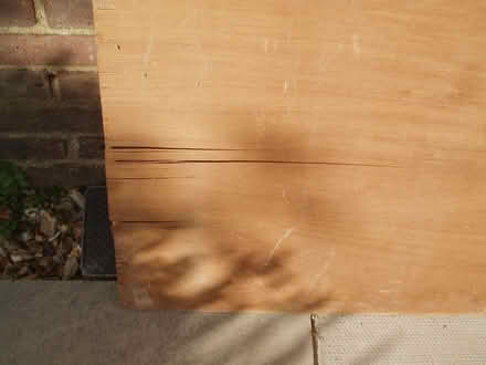 Photo of free 3 Ply Plywood Sheet 5ft x 3ft (Yateley GU46) #3