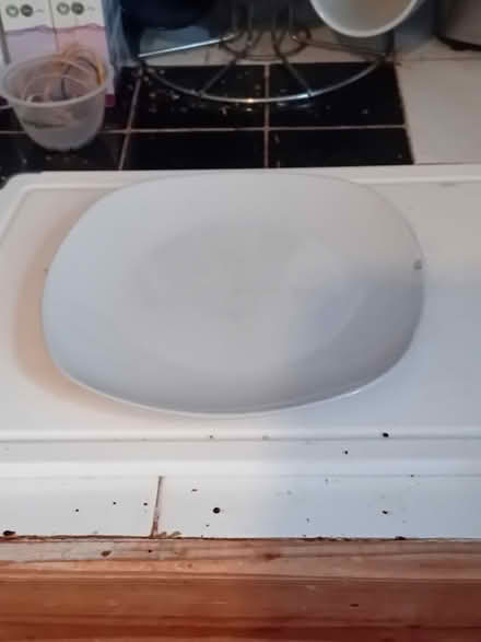 Photo of free White sandwich plate (Kingsholm GL1) #1