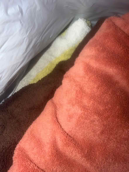 Photo of free Towels (Boxborough) #1
