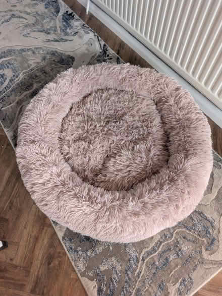 Photo of free M/L fluffy round cream dog bed (Maidstone ME15) #1