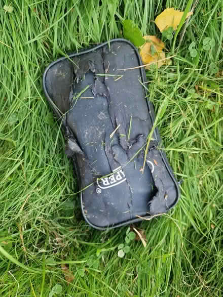 Photo of free Naughty fox/ badger/ cat haul (Bexhill TN39) #1