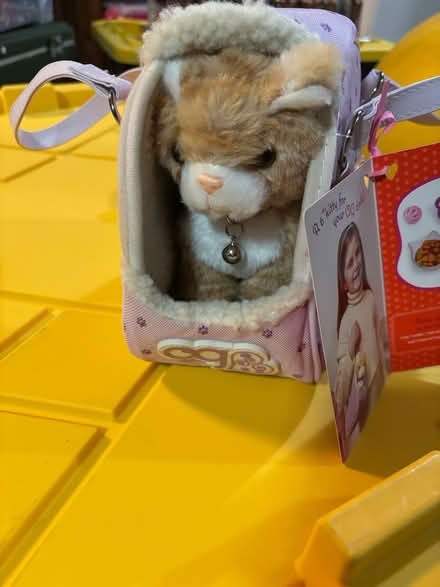 Photo of free Cat in a bag toy (Norristown) #2