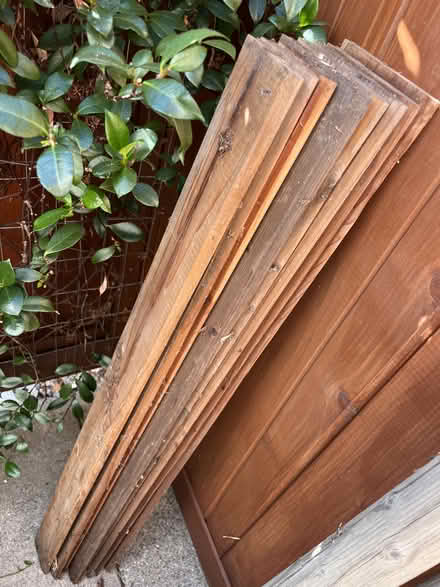 Photo of free groved pine panel boards (Concord) #1