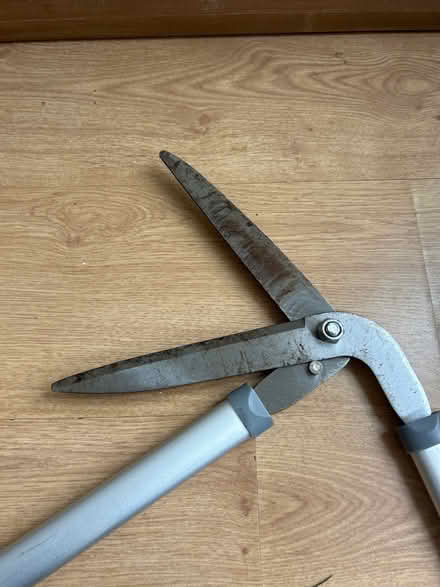 Photo of free Edging shears (Newfield Green S14) #3