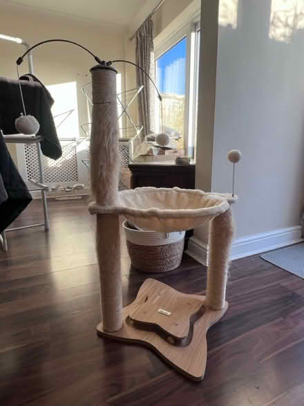 Photo of free Cat scratcher (Hawley) #1