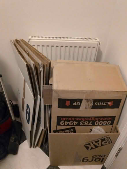 Photo of free 15 packing boxes (Honor oak SE23) #1