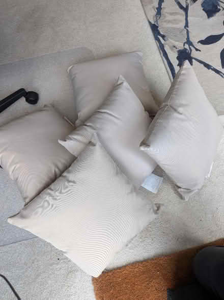Photo of free 5 small taupe outdoor cushions (Maidstone ME15) #1