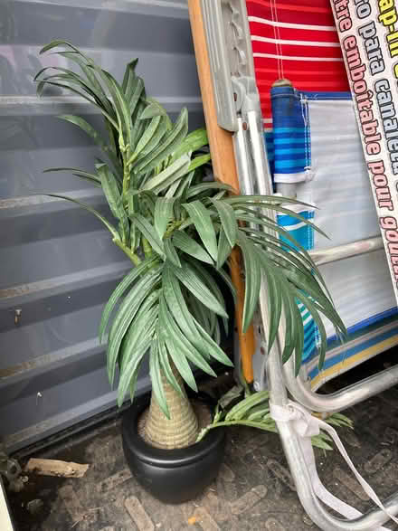 Photo of free Artificial plant (Oradell) #1