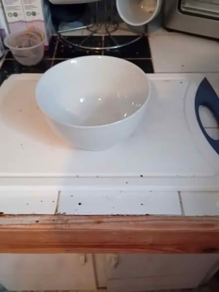 Photo of free White cereal bowl (Kingsholm GL1) #1