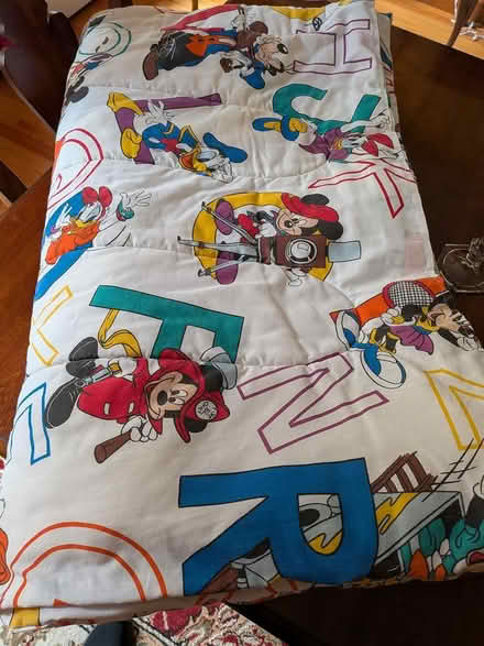 Photo of free Twin Disney Comforter (West Groton) #1