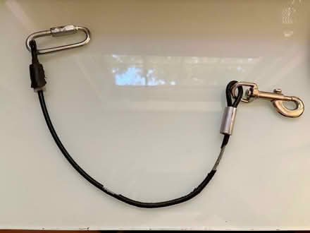 Photo of free Dog Seatbelt Tether (Small) (Abingdon) #1