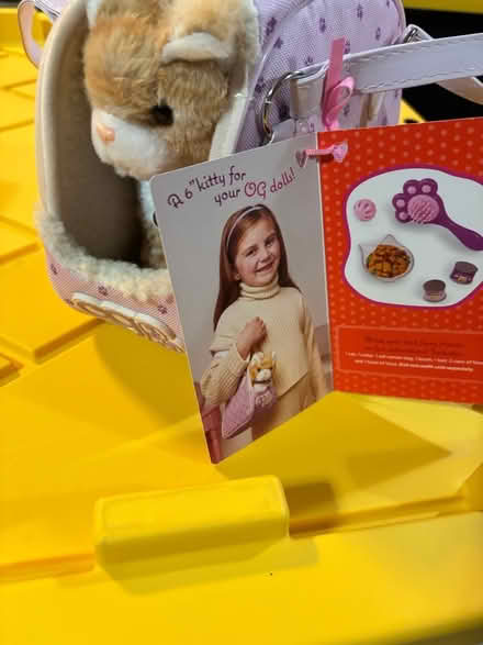 Photo of free Cat in a bag toy (Norristown) #1