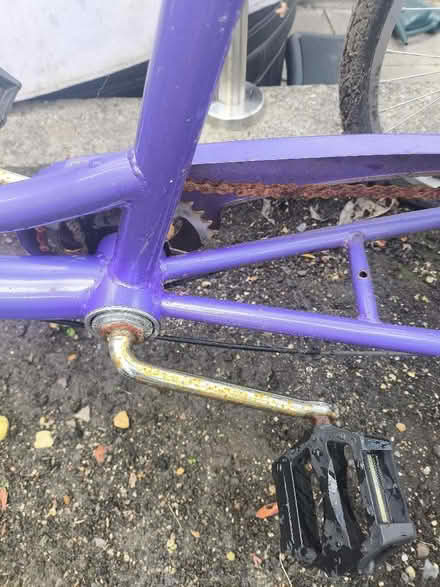 Photo of free Adult trike (Twerton BA2) #3